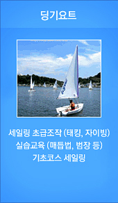 딩기요트
